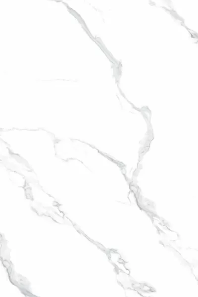 HS177303-01